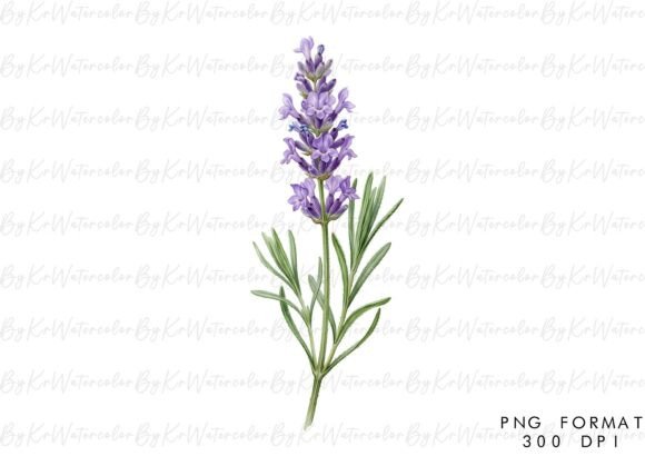 Lavender Sprig Watercolor PNG Clipart