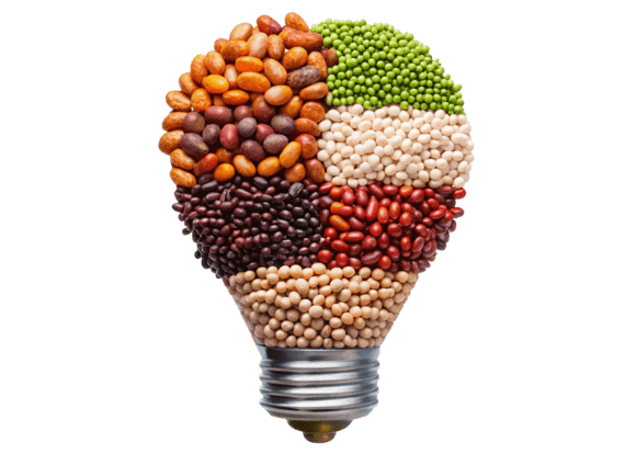 Lightbulb Symbol with Mixture of Beans