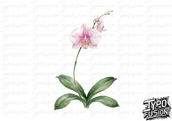 Orchid Watercolor Clipart for Creative Projects